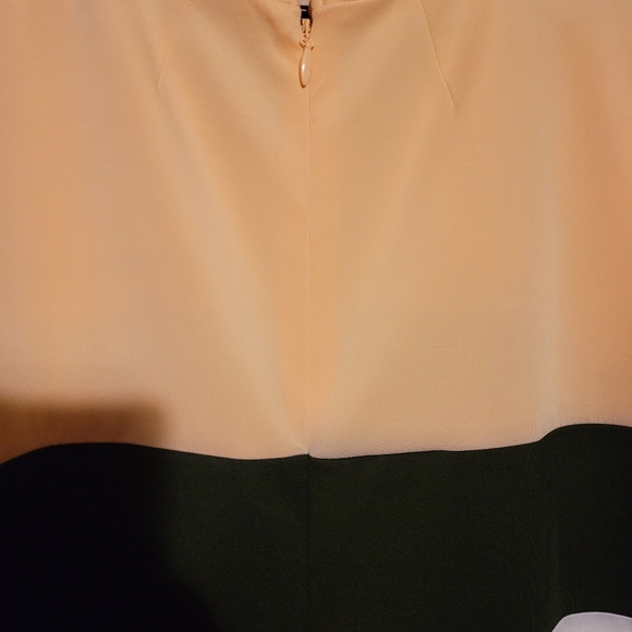 Nwt 4x torrid dress - Picture 2 of 5